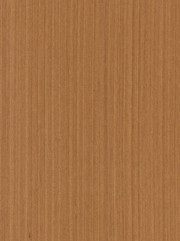 A1