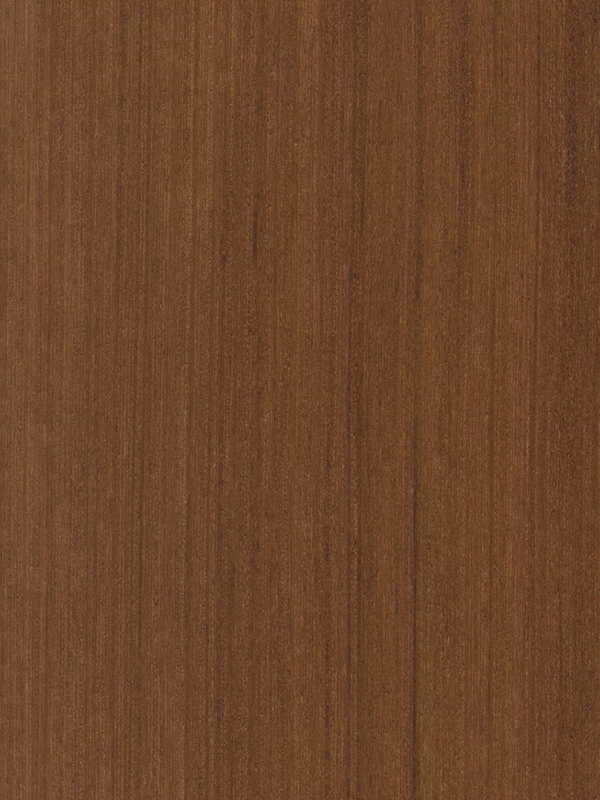 A3