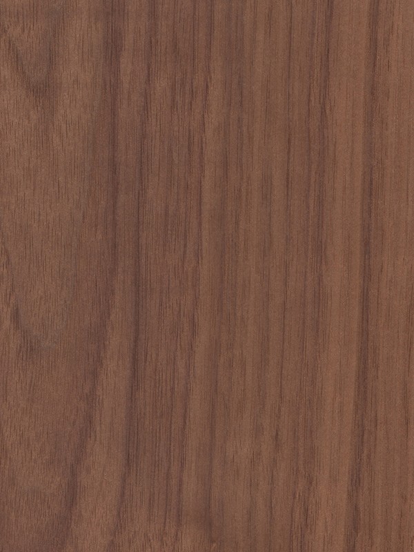 American Walnut